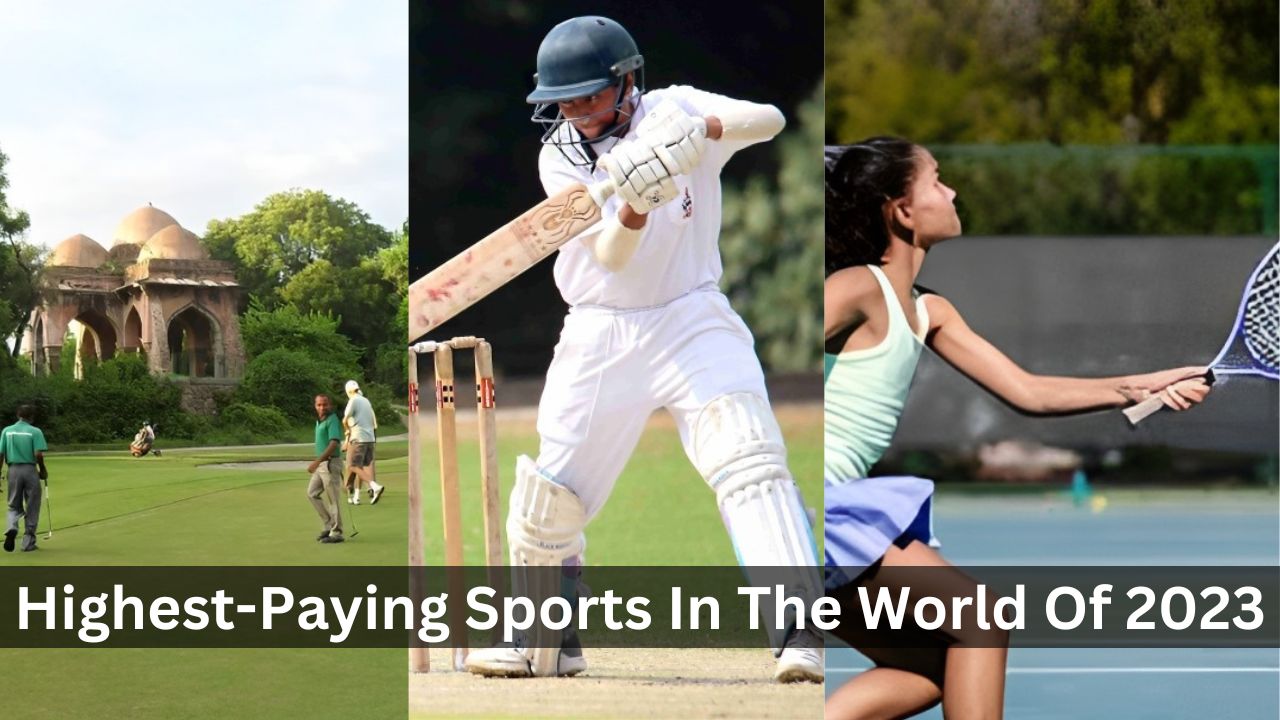top 10 highest-paying sports in the world of 2023