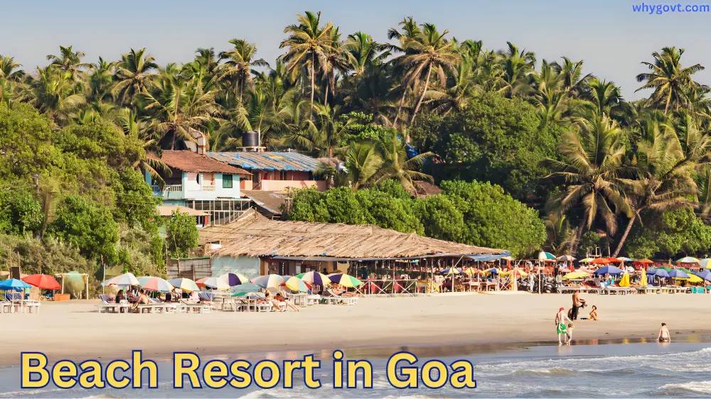 Beach Resort in Goa