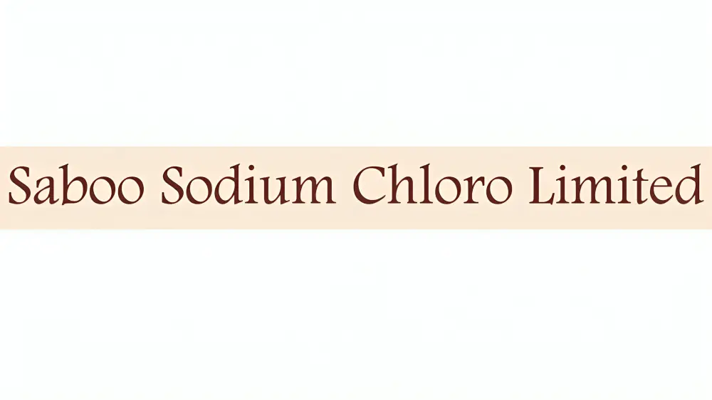 Saboo Sodium Chloro- Multibagger Penny Stocks for 2024
